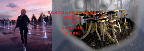 2c-b Бронницы