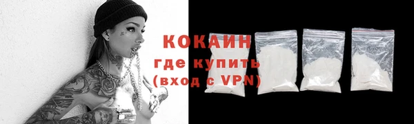 дурь Бородино